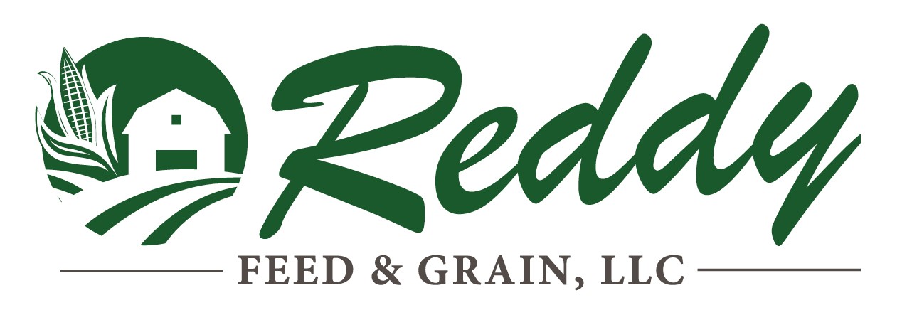 Reddy Ross logo
